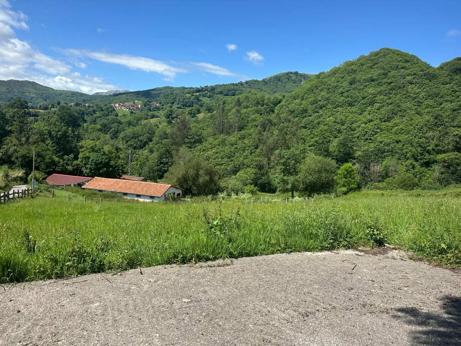 Fincas y solares-Venta-Mieres-2337590-Foto-43