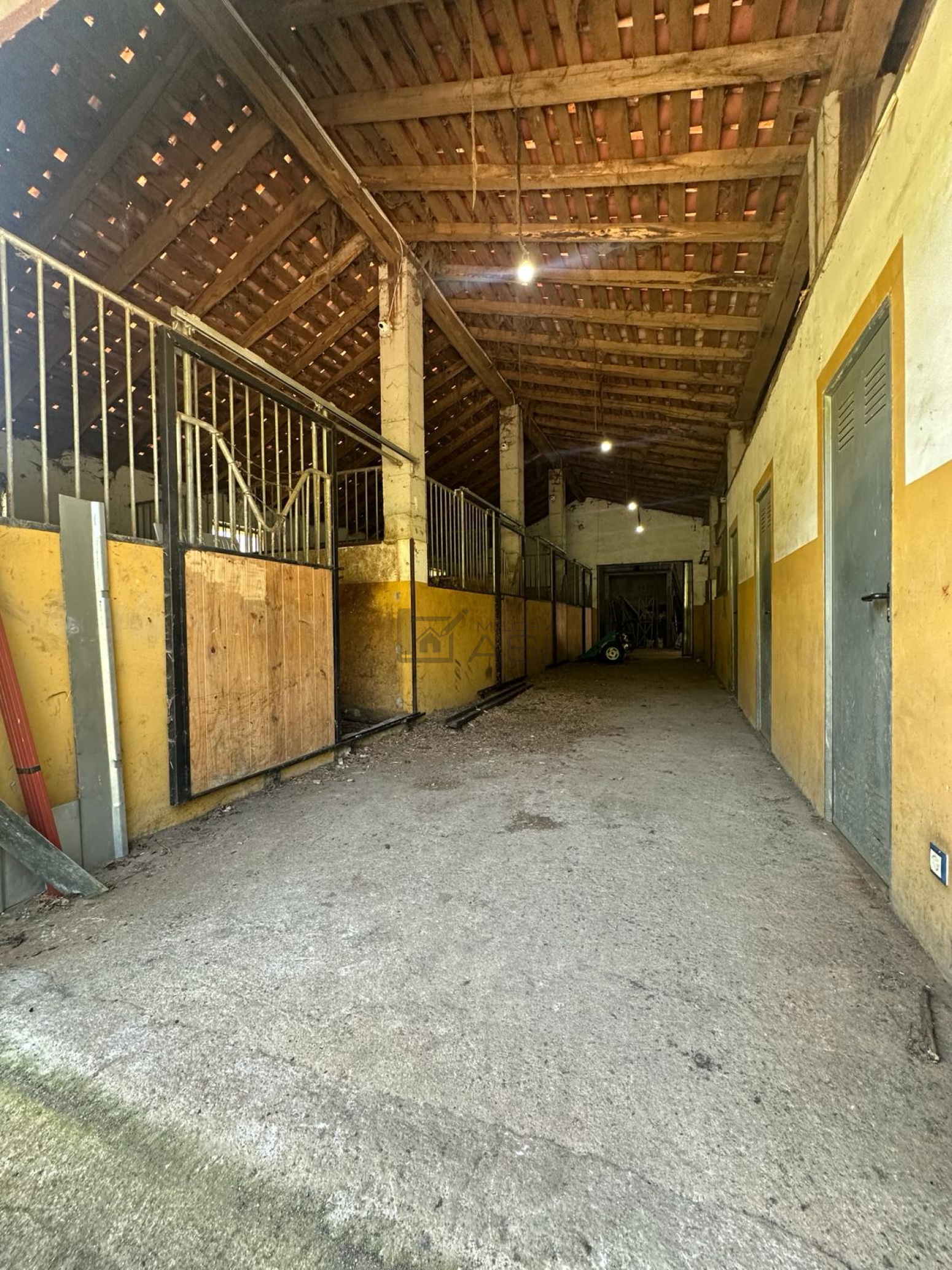 Fincas y solares-Venta-Mieres-2337590-Foto-13
