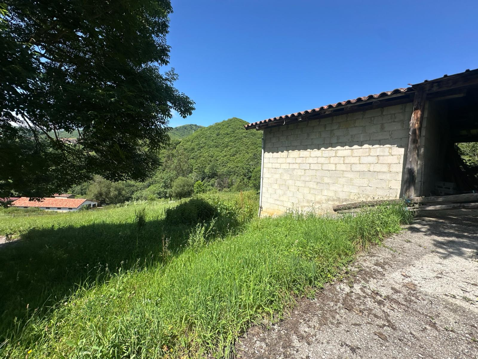 Fincas y solares-Venta-Mieres-2337590-Foto-37