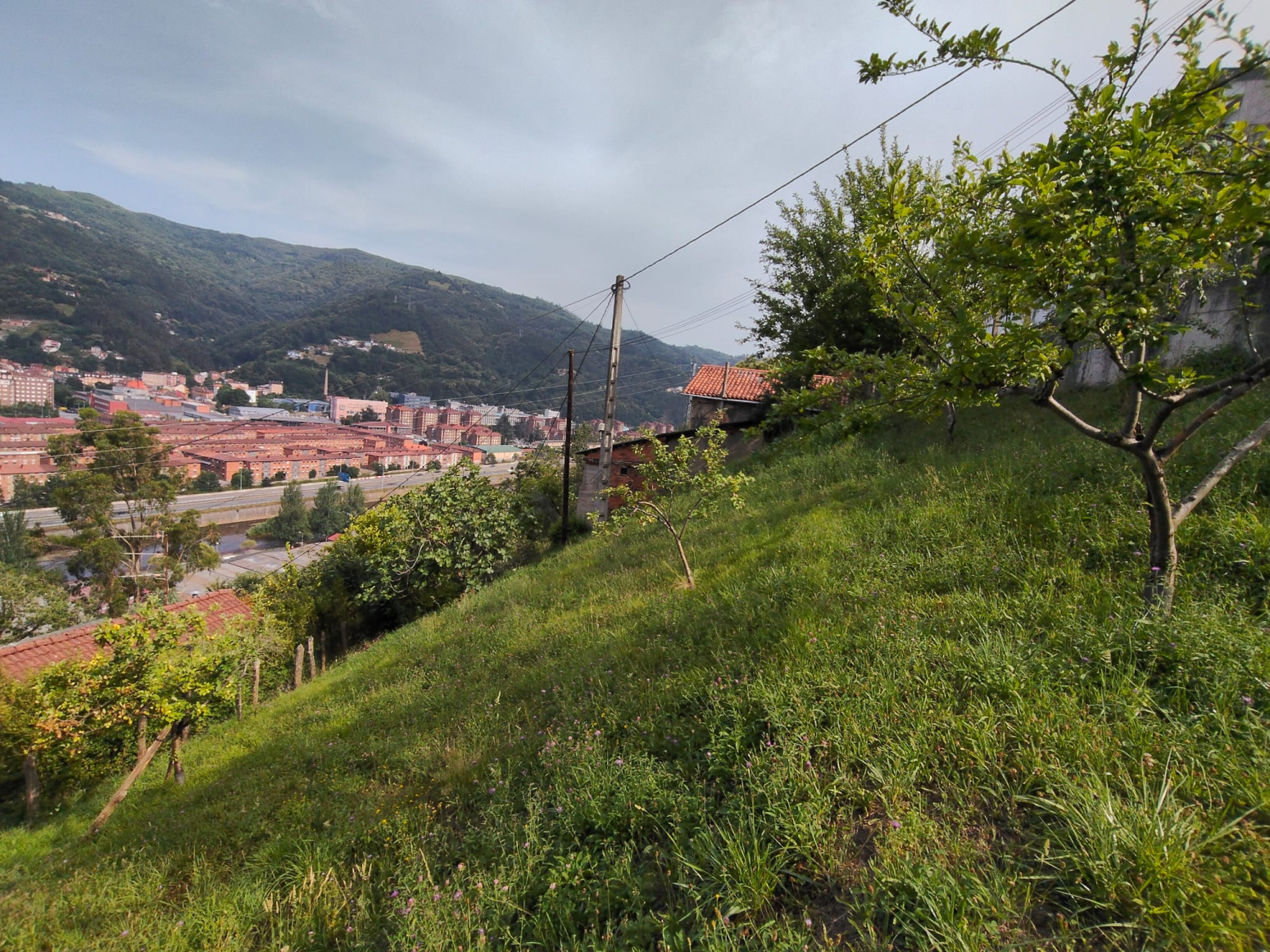 Casas o chalets-Venta-Mieres-2348768-Foto-34