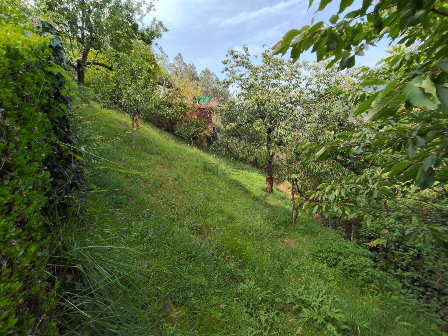 Casas o chalets-Venta-Mieres-2348768-Foto-31