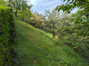 Casas o chalets-Venta-Mieres-2348768-Foto-30-Carrousel