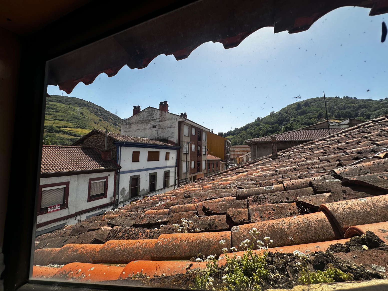 Negocios-Venta-Lena-2349023-Foto-71
