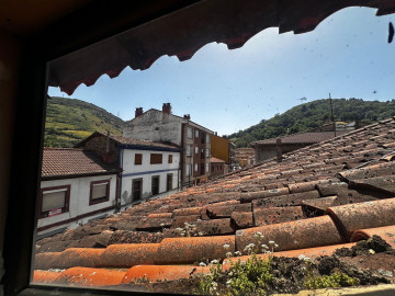 Negocios-Venta-Lena-2349023-Foto-70-Carrousel