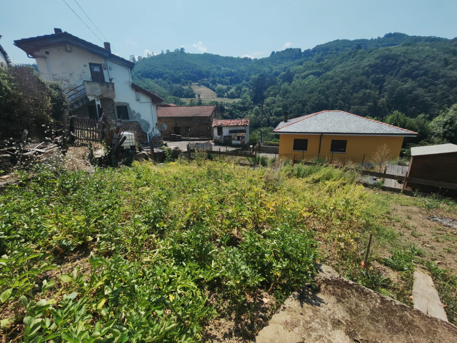 Casas o chalets-Venta-Mieres-2355733-Foto-8