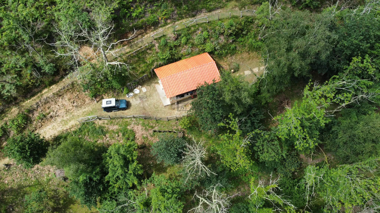 Casas o chalets-Venta-PiloÃ±a-2356898-Foto-2