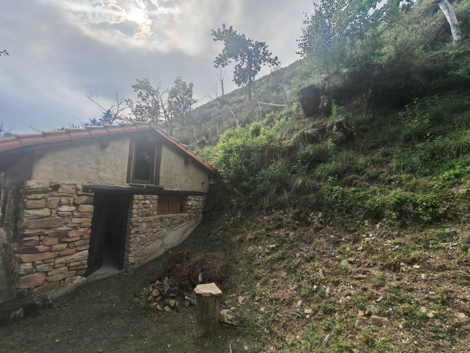 Casas o chalets-Venta-PiloÃ±a-2356898-Foto-16