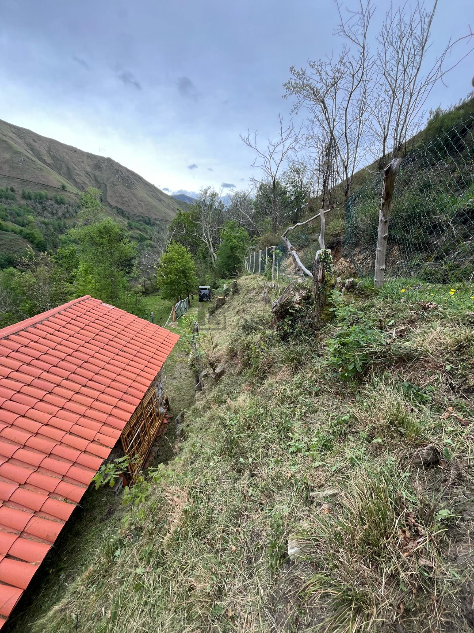Casas o chalets-Venta-PiloÃ±a-2356898-Foto-30