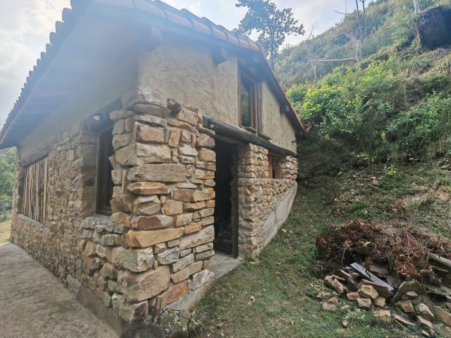 Casas o chalets-Venta-PiloÃ±a-2356898-Foto-10
