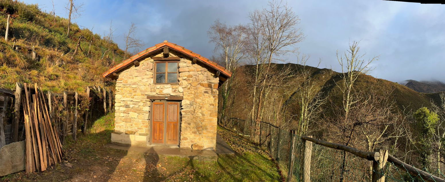 Casas o chalets-Venta-PiloÃ±a-2356898-Foto-37