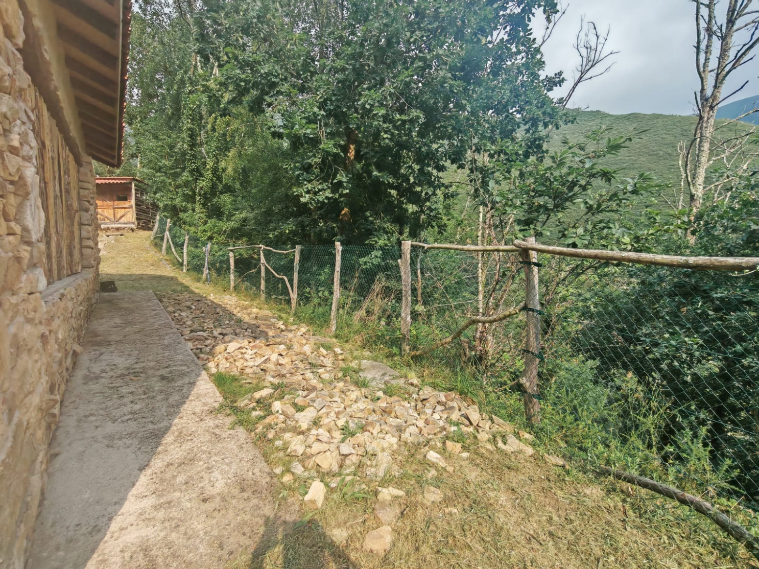Casas o chalets-Venta-PiloÃ±a-2356898-Foto-9