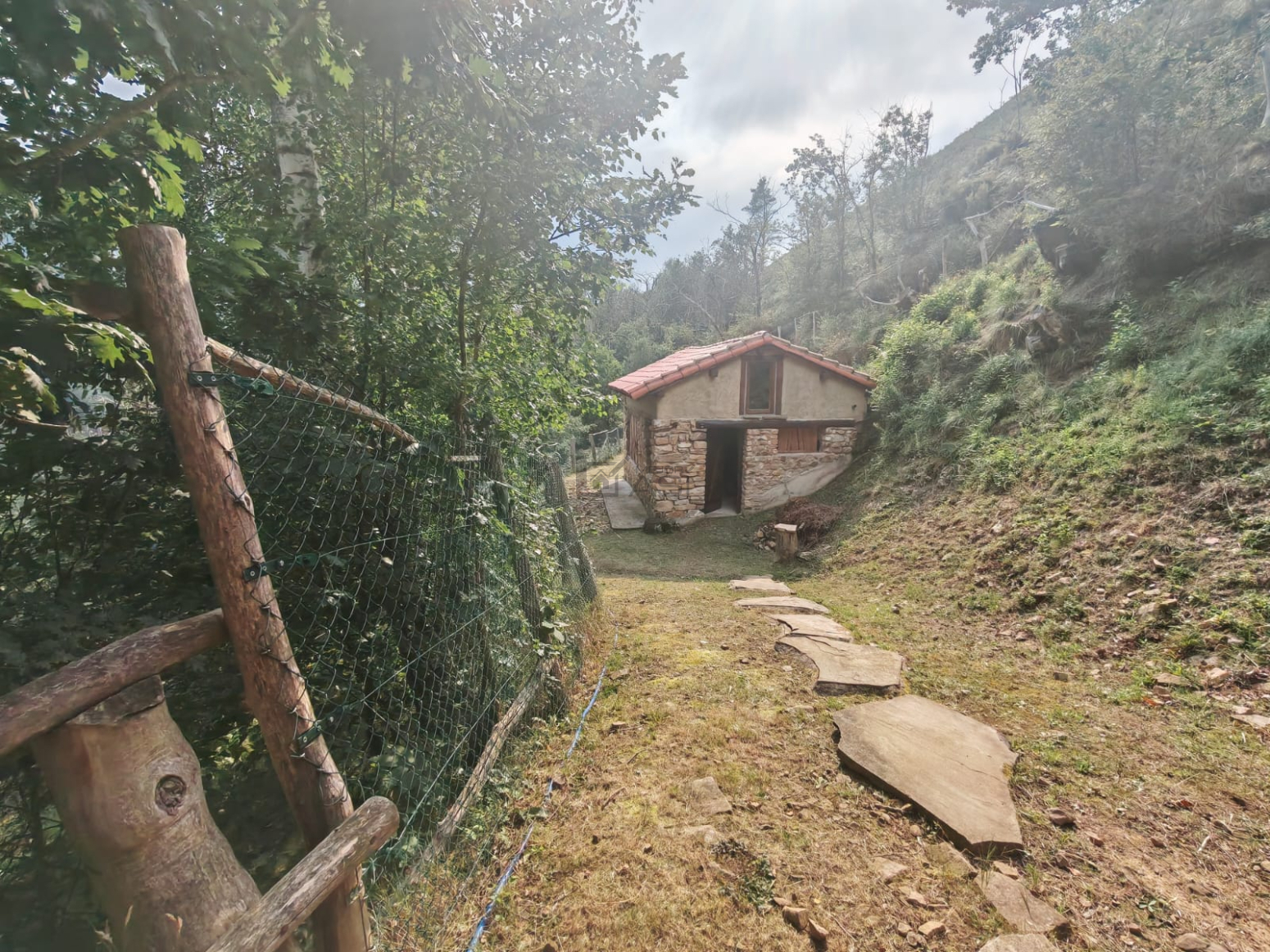 Casas o chalets-Venta-PiloÃ±a-2356898-Foto-15