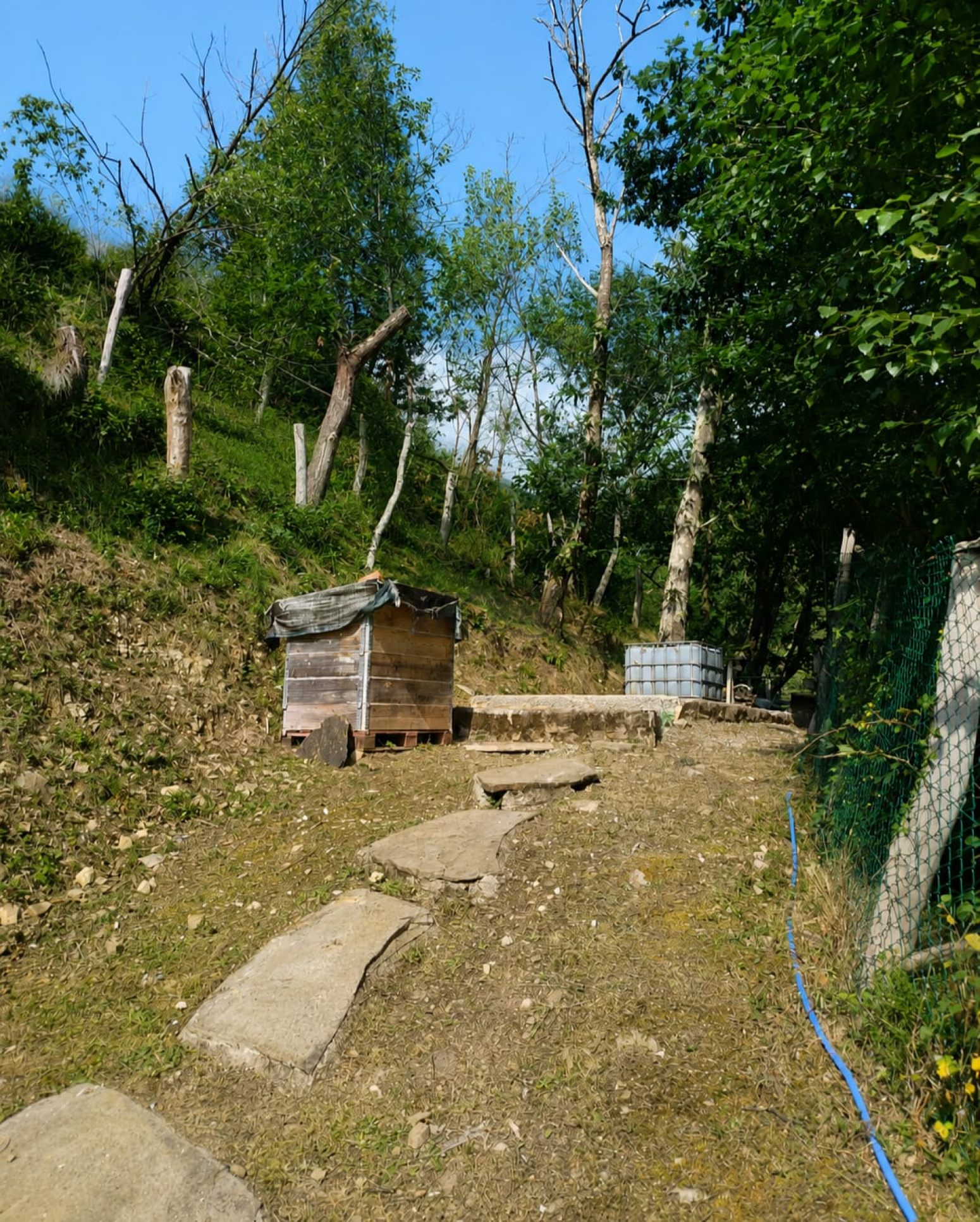 Casas o chalets-Venta-PiloÃ±a-2356898-Foto-53