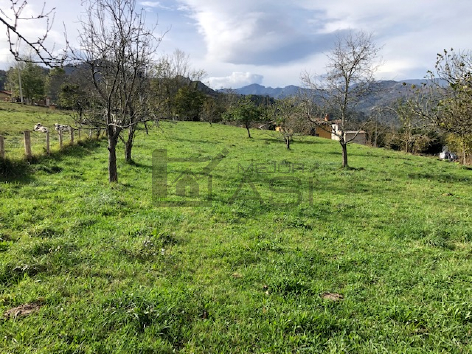 Casas o chalets-Venta-PiloÃ±a-744153-Foto-29