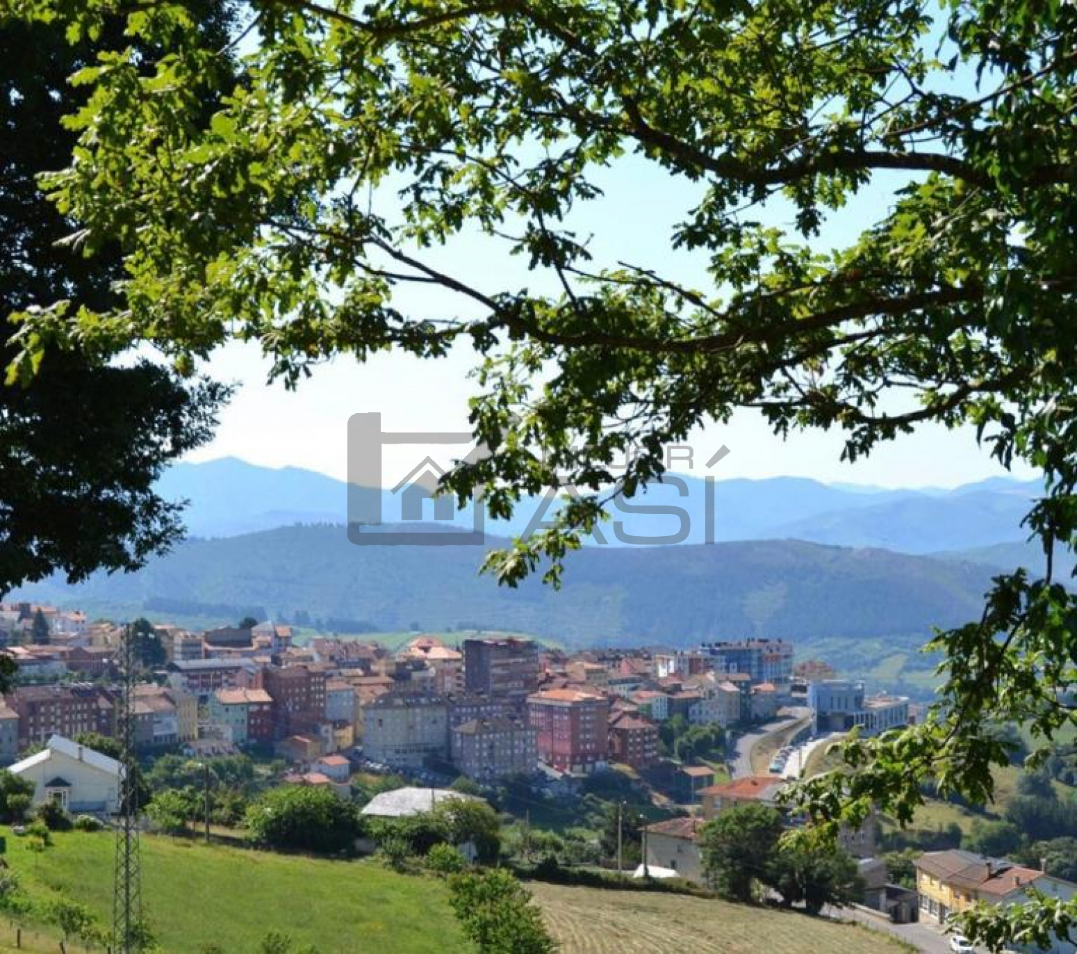 Pisos-Venta-Tineo-903509-Foto-2