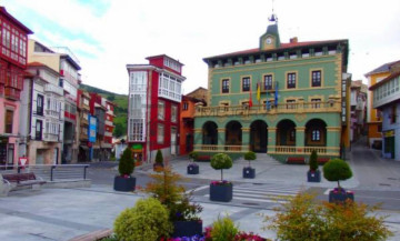 Pisos-Venta-Tineo-903509-Foto-30-Carrousel