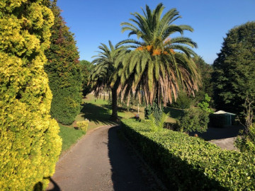 ENTRADA A LA FINCA