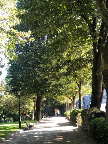 CAMPO SAN FRANCISCO