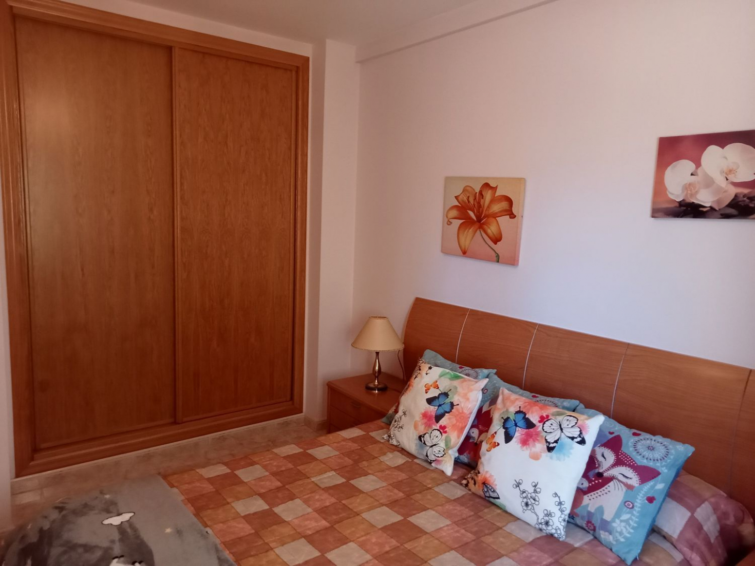 Casas o chalets-Venta-Pontevedra-592408-Foto-21