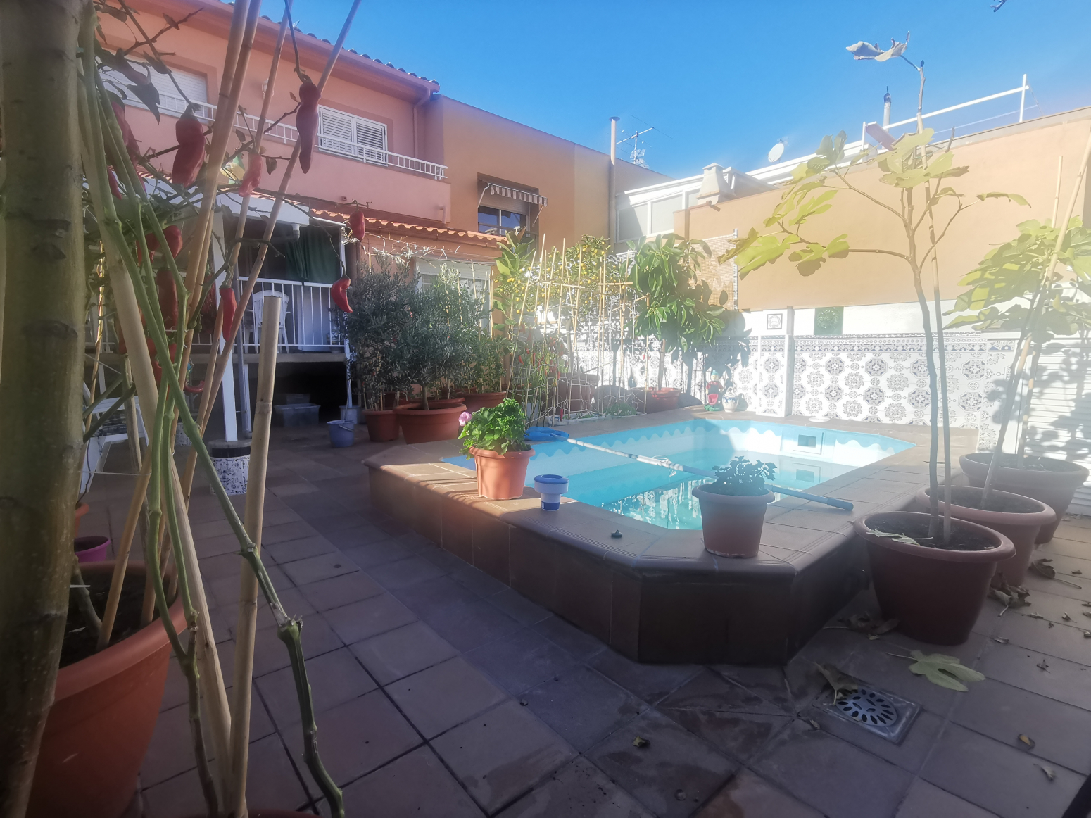 Casas o chalets-Venta-Pineda de Mar-1029421-Foto-5