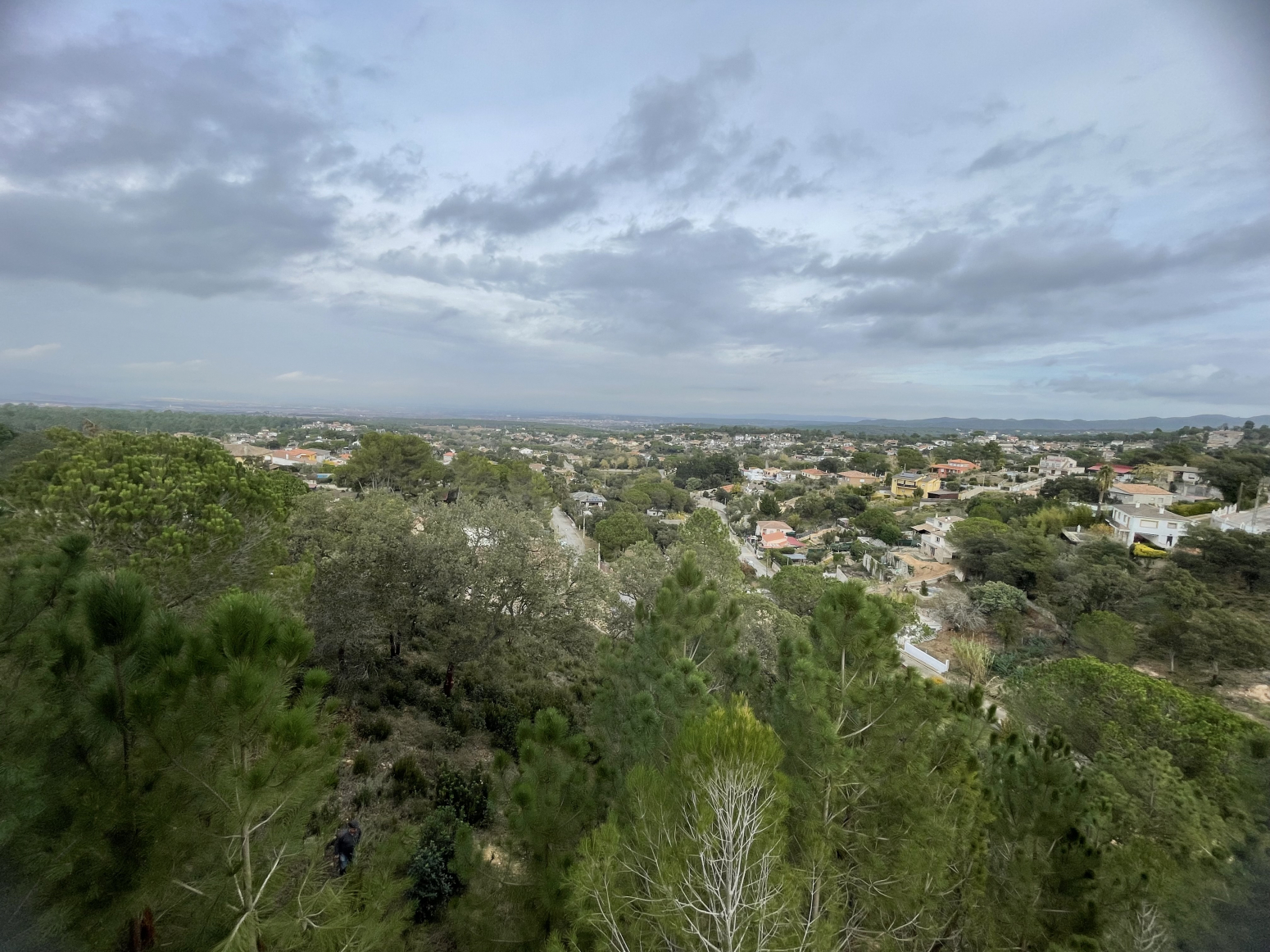 Fincas y solares-Venta-MaÃ§anet de la Selva-1033888-Foto-18