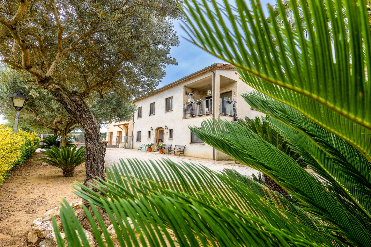 Casas o chalets-Venta-Quart-1039533-Foto-1