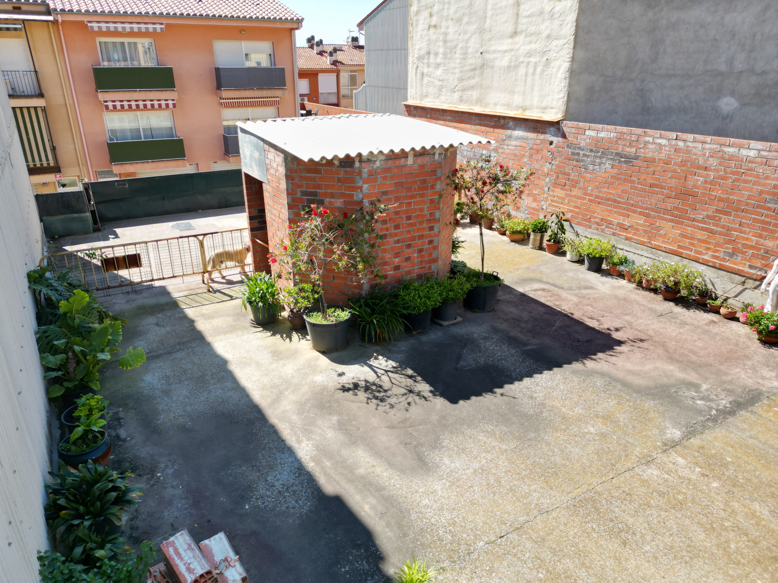 Fincas y solares-Venta-La Bisbal d