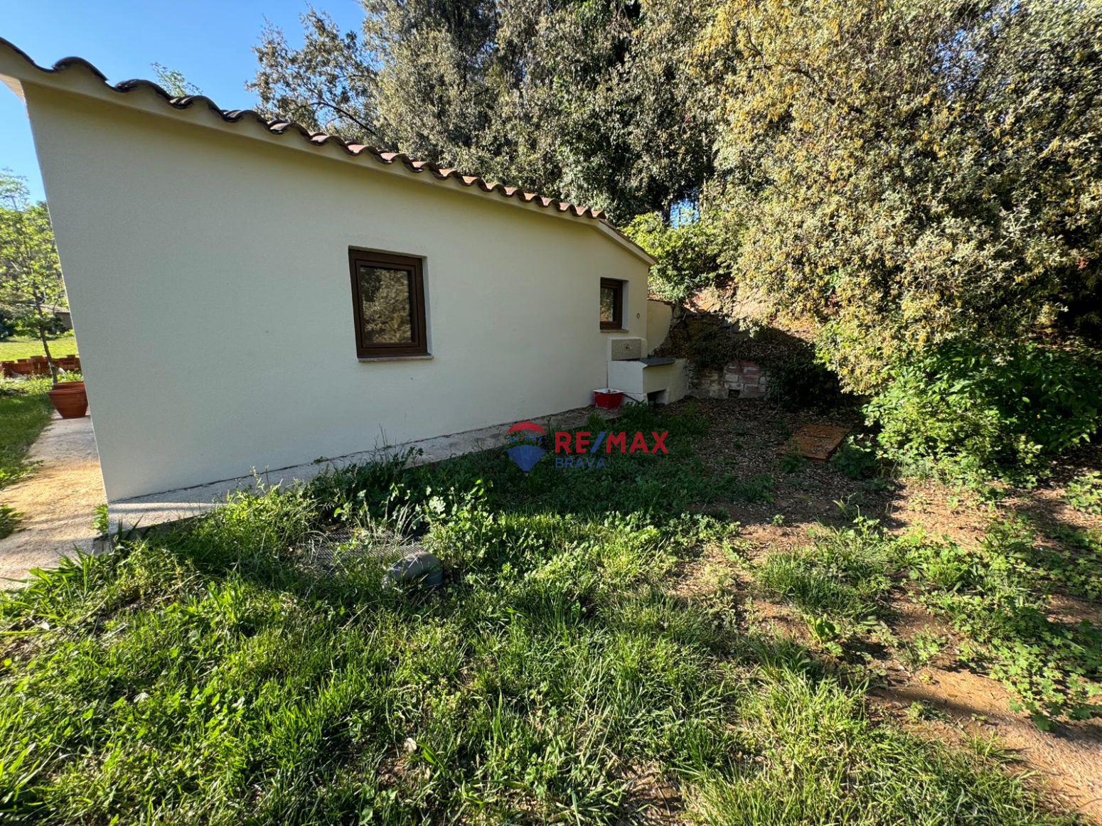 Fincas y solares-Venta-Sant MartÃ­ de LlÃ©mena-1091585-Foto-29