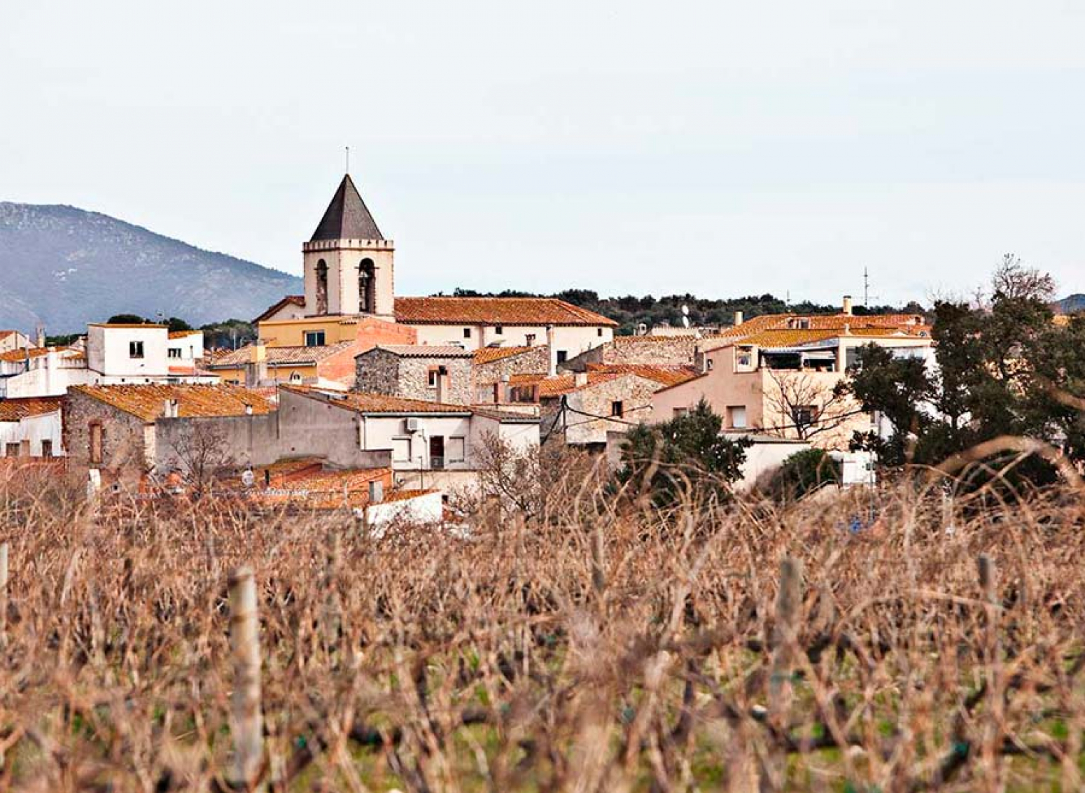 Casas o chalets-Venta-Sant Climent Sescebes-1100981-Foto-19