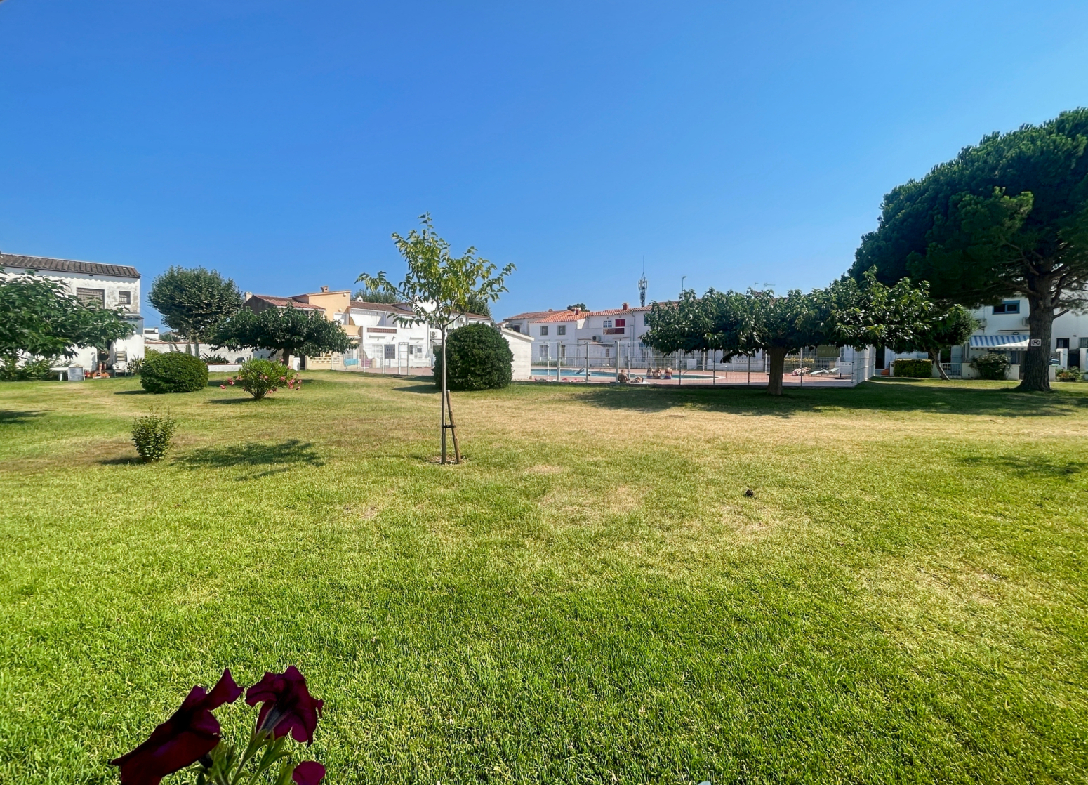 Casas o chalets-Venta-CastellÃ³ d