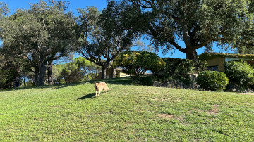 VISTA DE JARDIN 