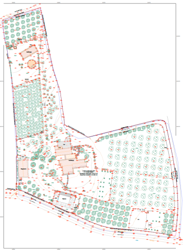 PLANO TOPOGRAFICO DEL CONJUNTO 