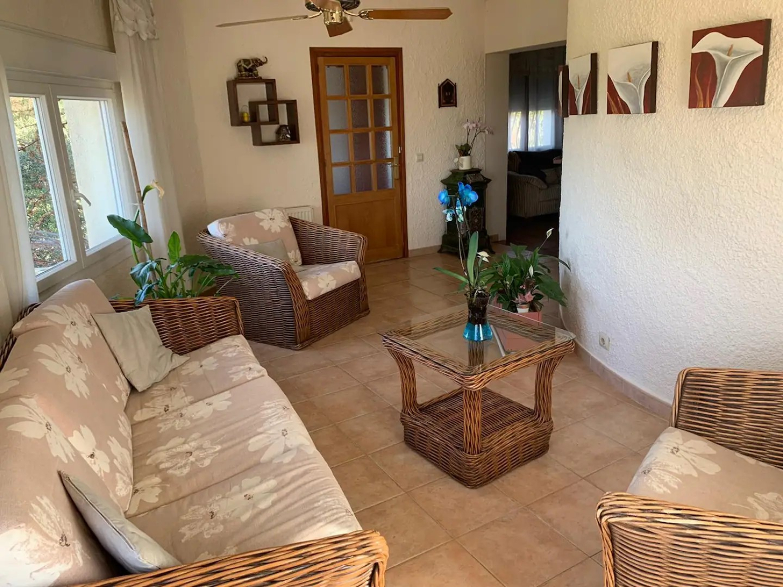 Casas o chalets-Alquiler-Palau-saverdera-1432090-Foto-6