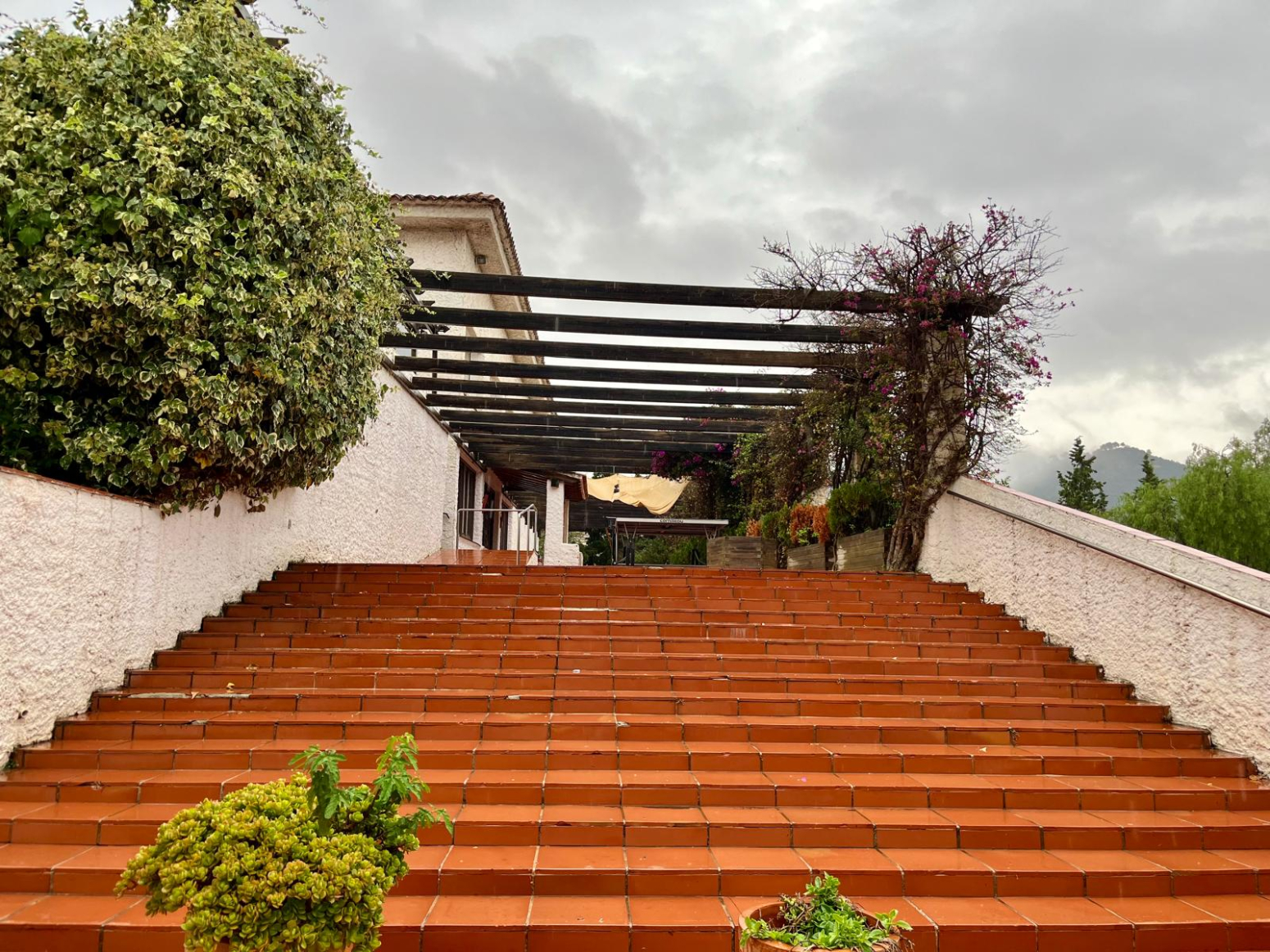 Negocios-Venta-Santa Coloma de CervellÃ³-1439221-Foto-52