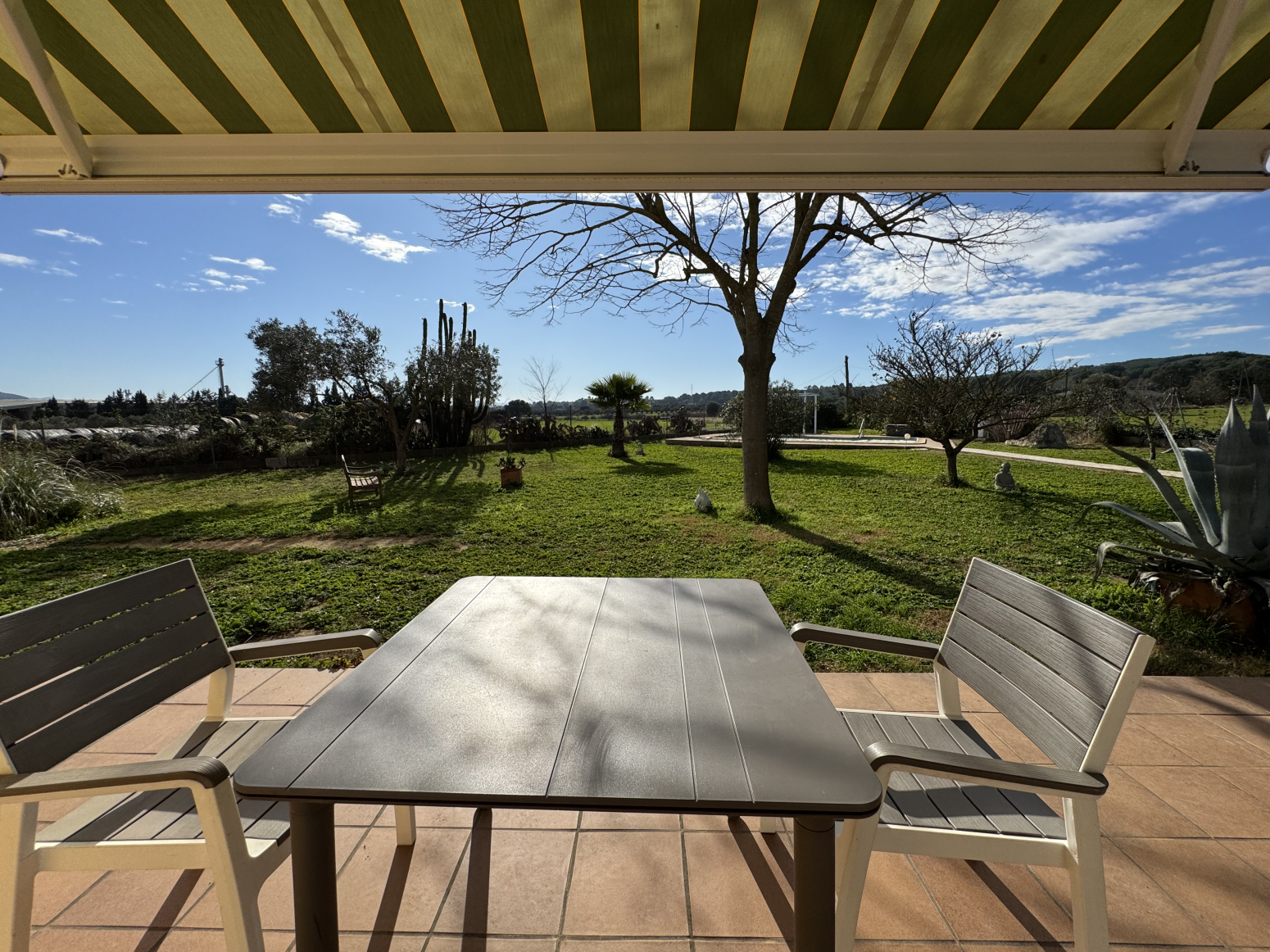 Casas o chalets-Venta-Albons-1521088-Foto-39