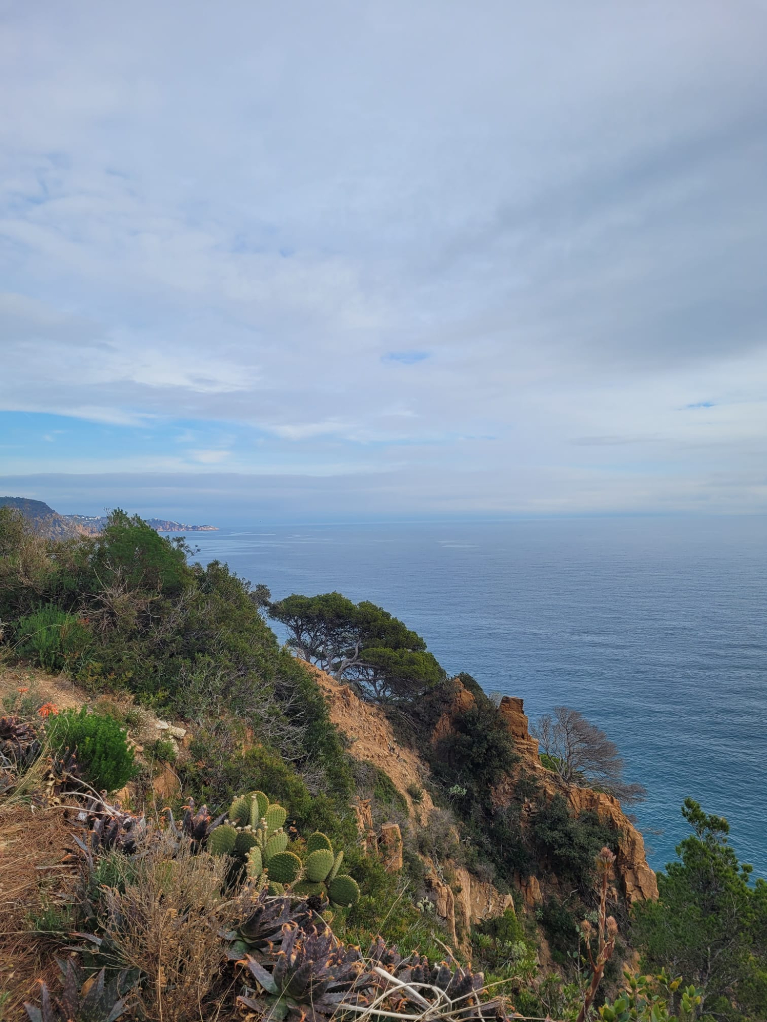 Pisos-Venta-Tossa de Mar-1522705-Foto-39