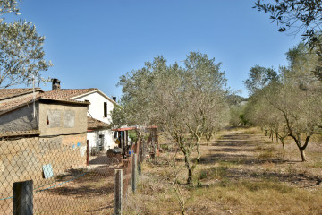 Casas o chalets-Venta-Sant Andreu de la Barca-1641124-Foto-35-Carrousel