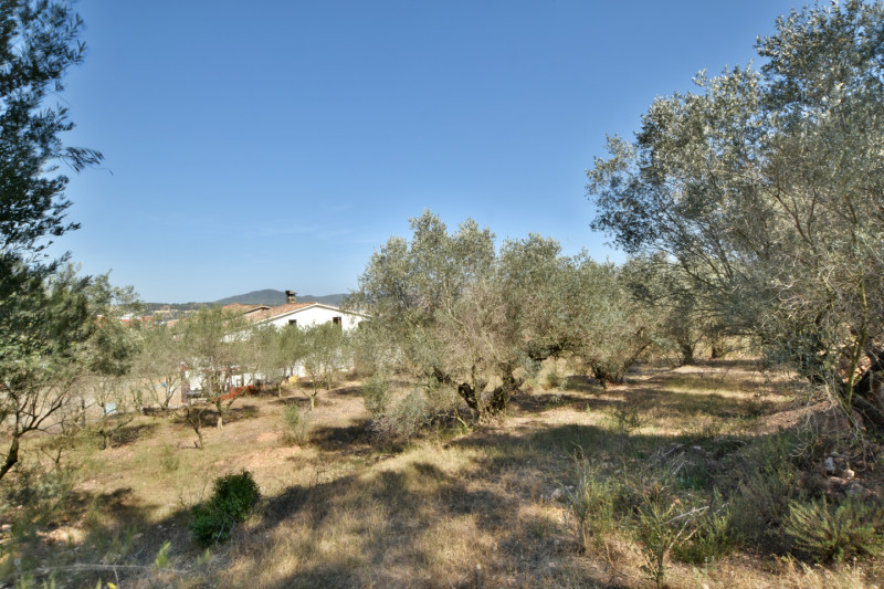 <p>Iconic farmhouse in Sant Andreu de la Barca, Barcelona</p>