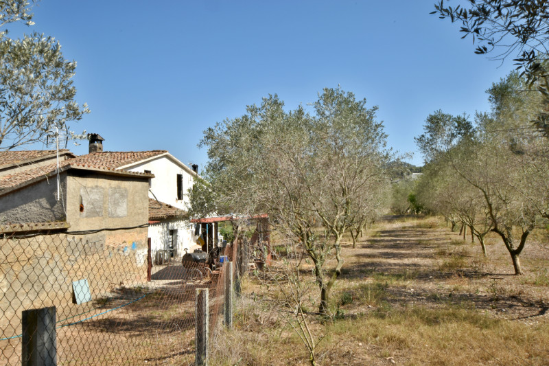 <p>Land of 10,500 m2 with country house of 1,471 m2 in Sant Andreu de la Barca, Barcelona</p>