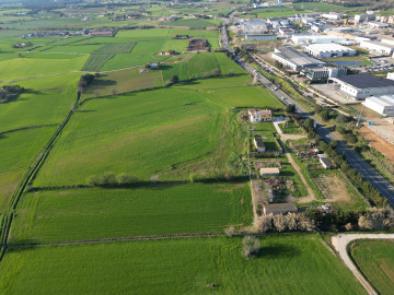 Plano