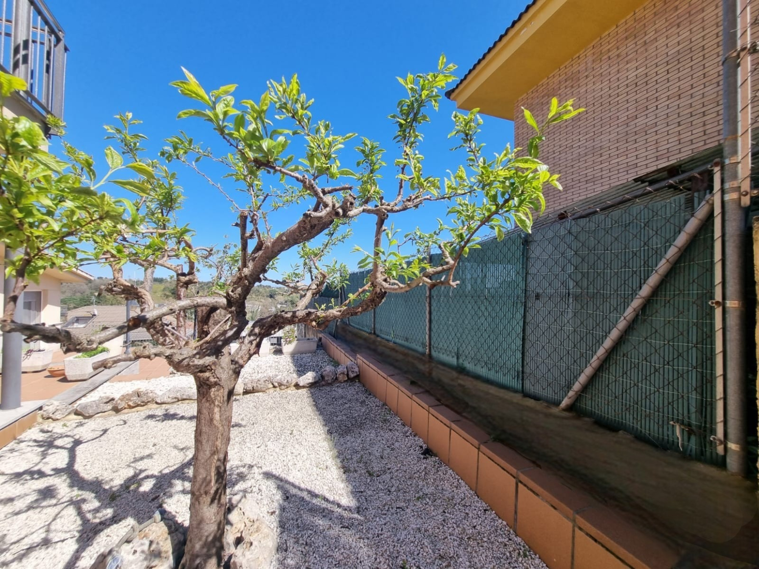 Casas o chalets-Venta-Santa Coloma de Farners-1700671-Foto-21