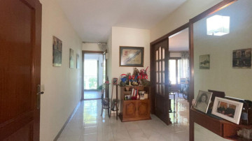Entrada piso1