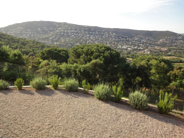 Vistas