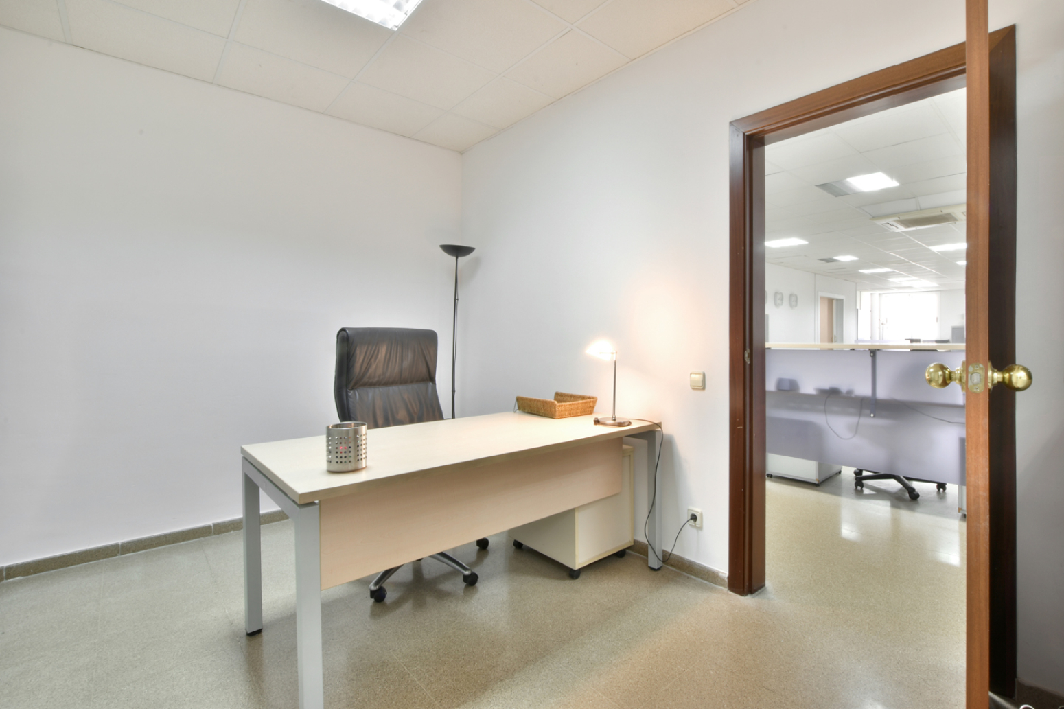 Locales-Venta-Sant Joan DespÃ­-1723841-Foto-24