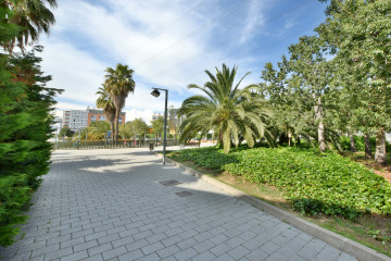 Alrededores
