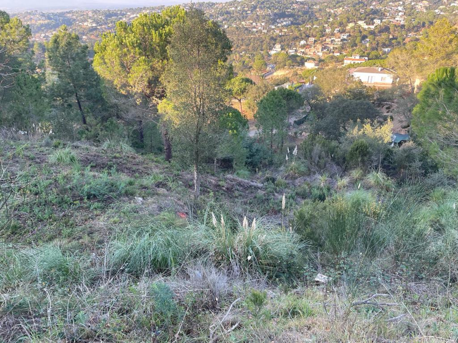 Fincas y solares-Venta-Lloret de Mar-967176-Foto-9