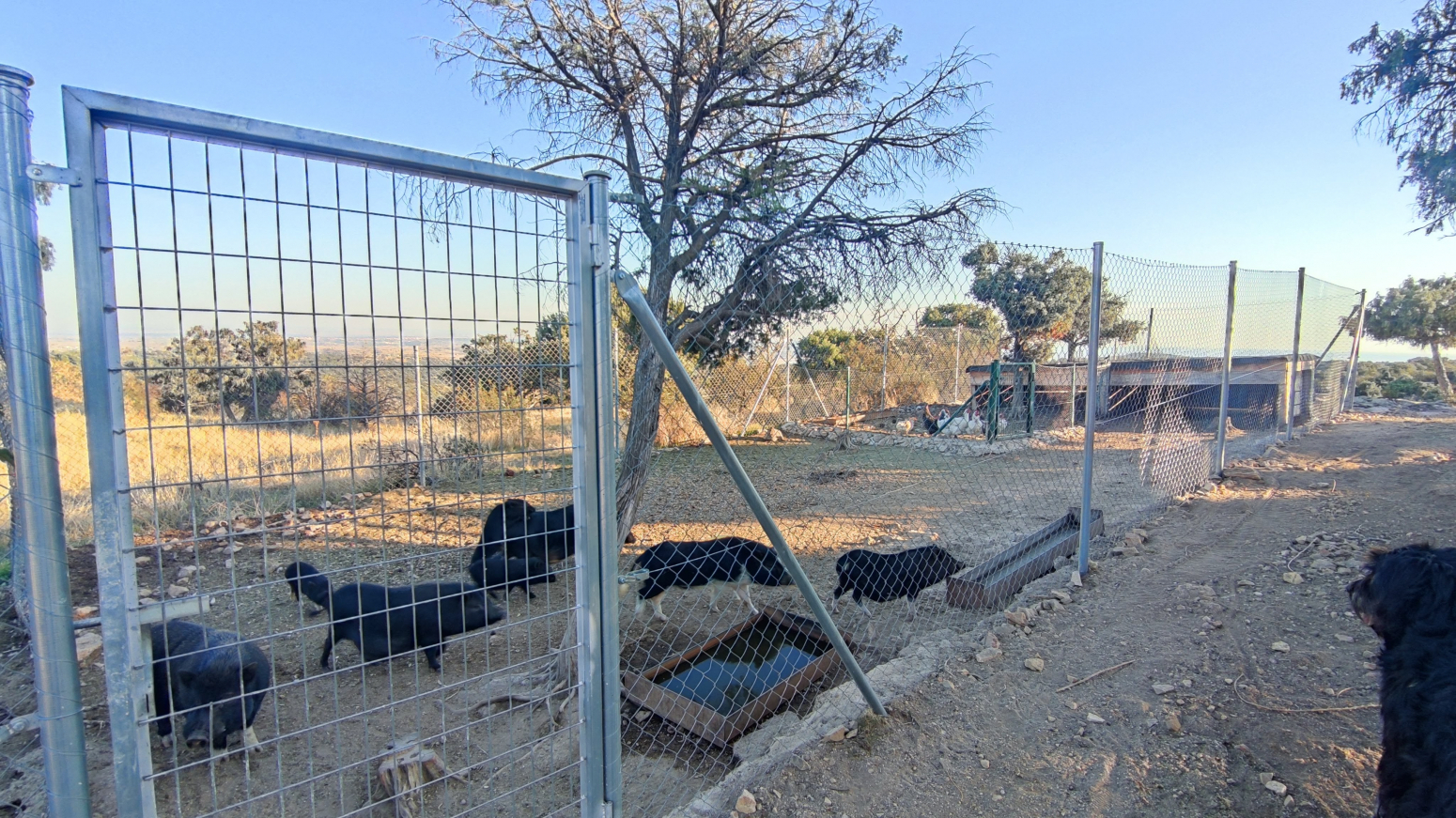 Fincas y solares-Venta-Hoyo de Manzanares-634291-Foto-30