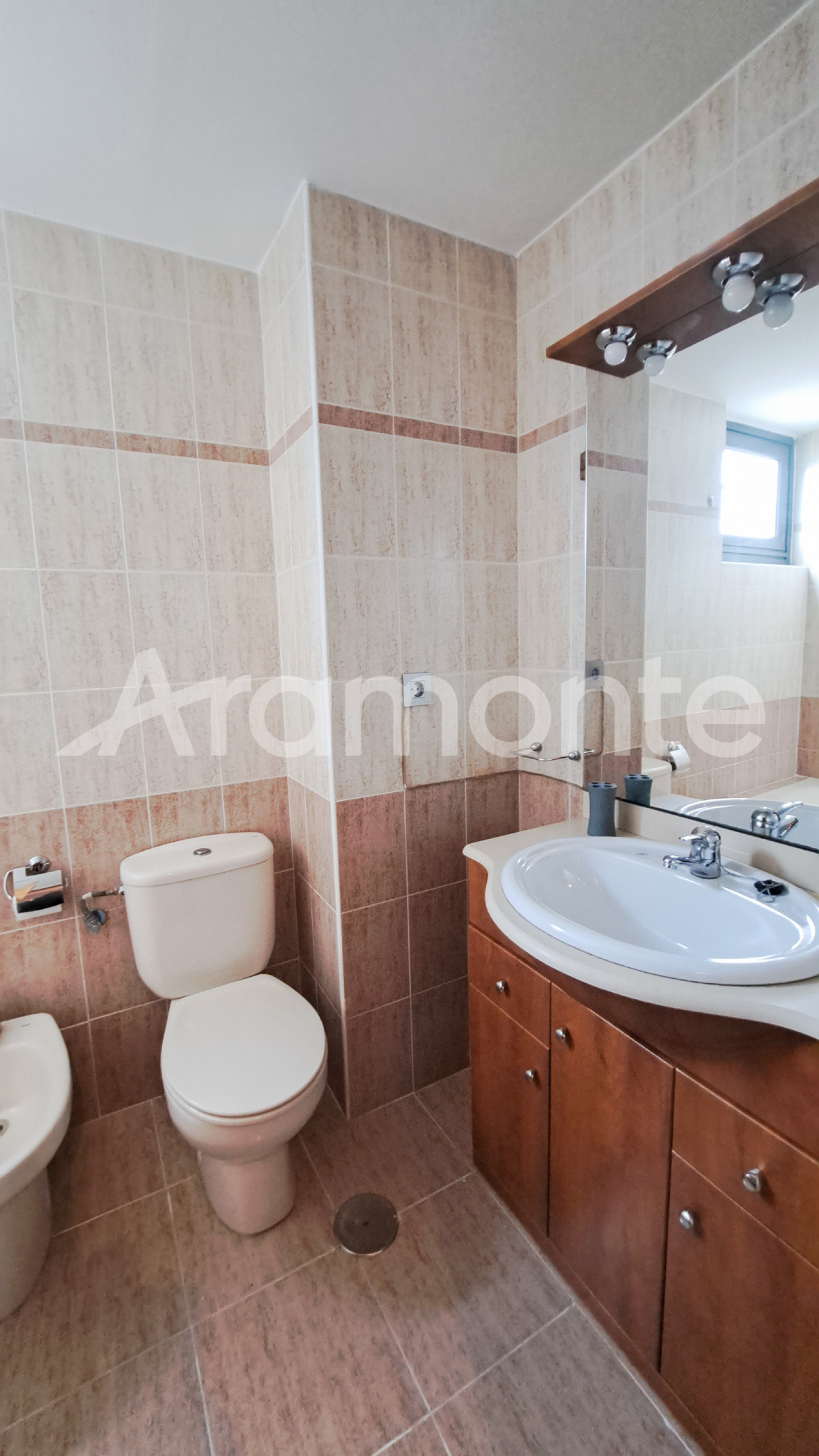 Pisos-Alquiler-Oviedo-1037037-Foto-16