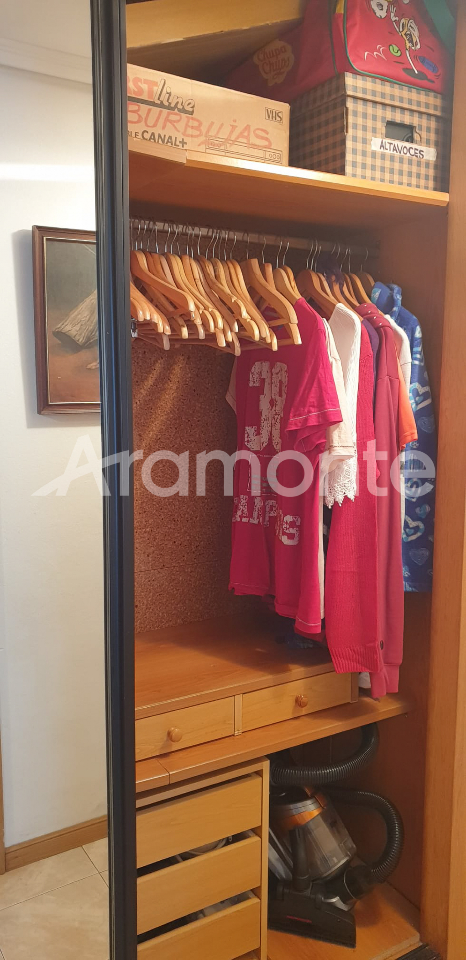 Pisos-Venta-Tineo-1096651-Foto-32