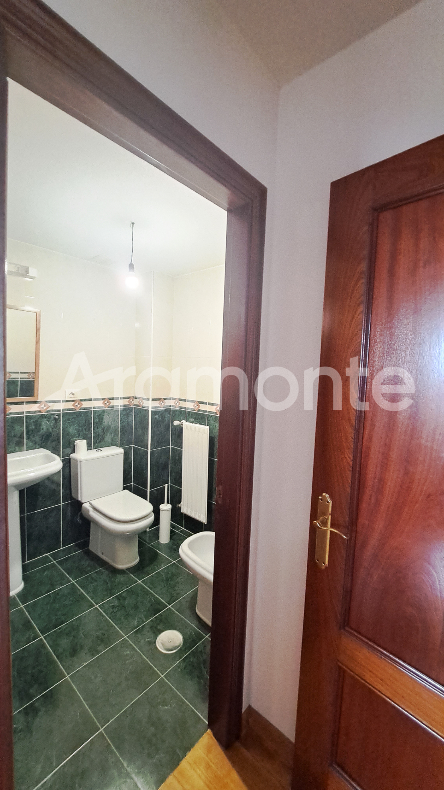 Pisos-Venta-Oviedo-1395640-Foto-27